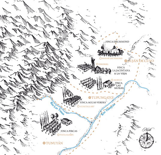 Mapa viñedos