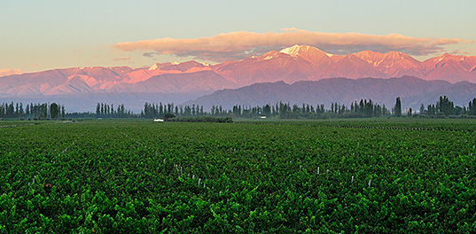 Mendoza