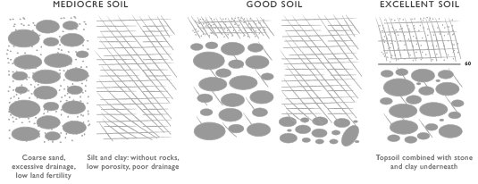 Tipos de suelo