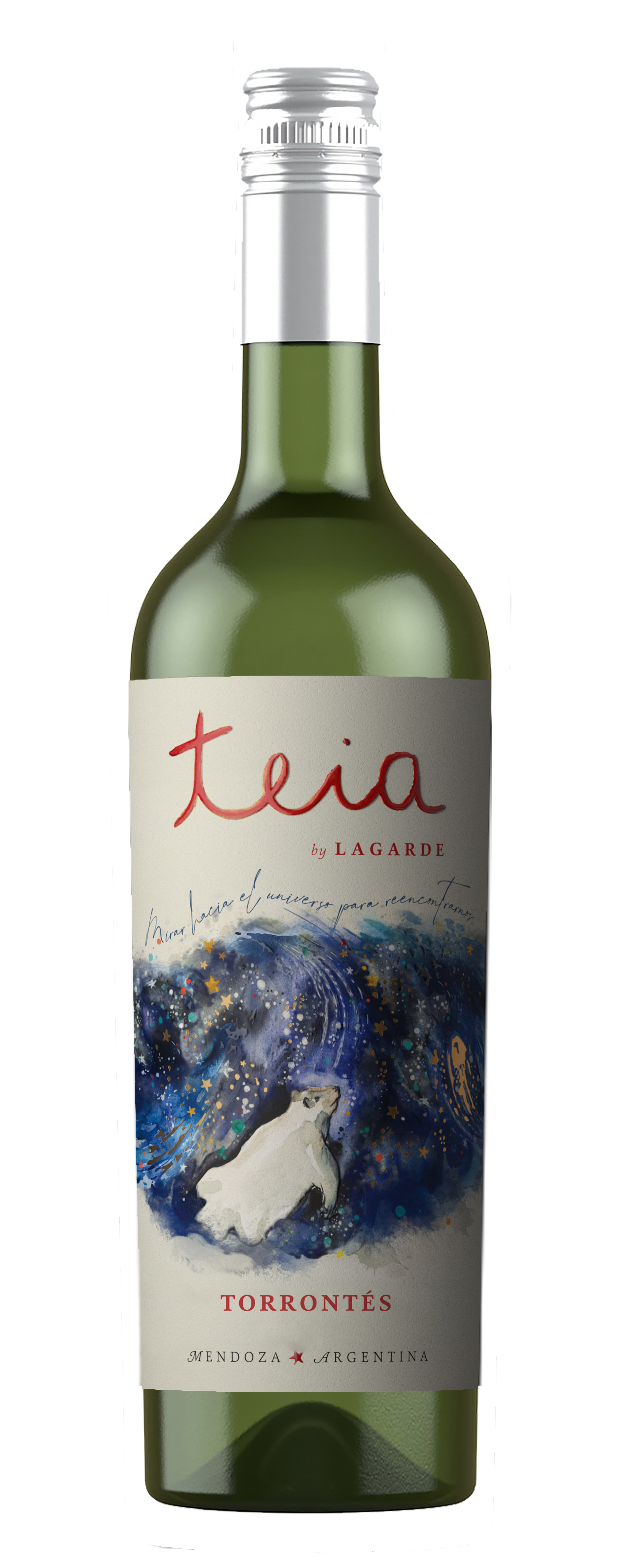 Teia Torrontés 2024